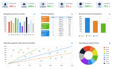 fleet management report